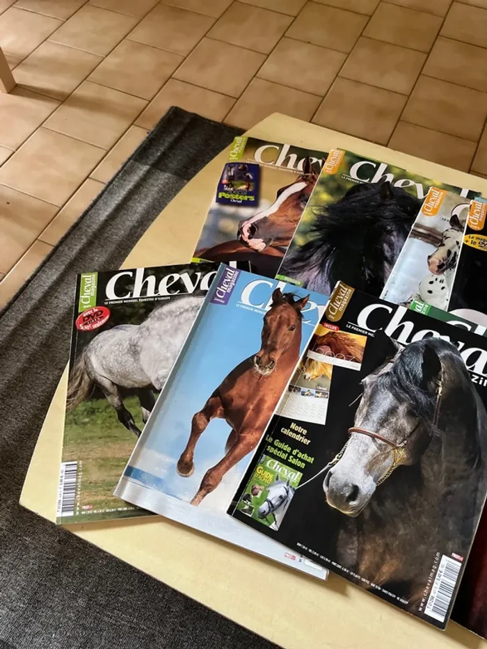 Lot de 10 anciens magazines sur les chevaux - photo numéro 4