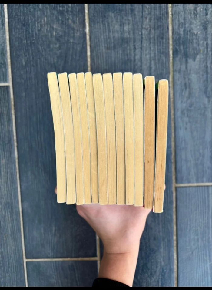 Lot 12 Livres Sheltie pour Enfants / Possibilité de prendre à l'unité - photo numéro 5