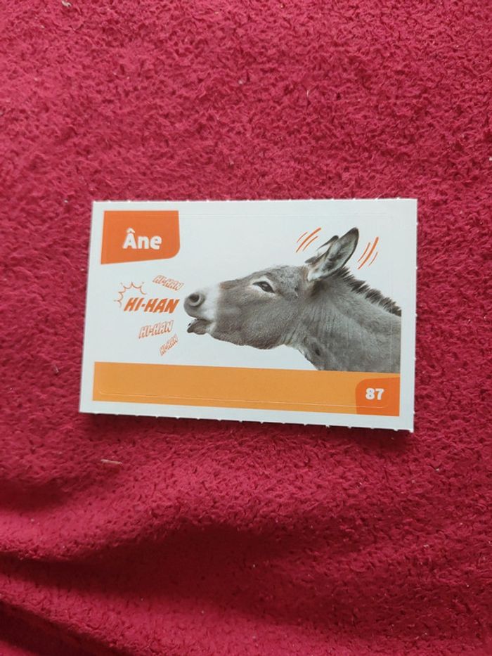 Autocollant nos amies les bêtes