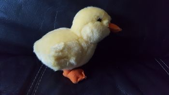 Peluche Canard de Gipsy