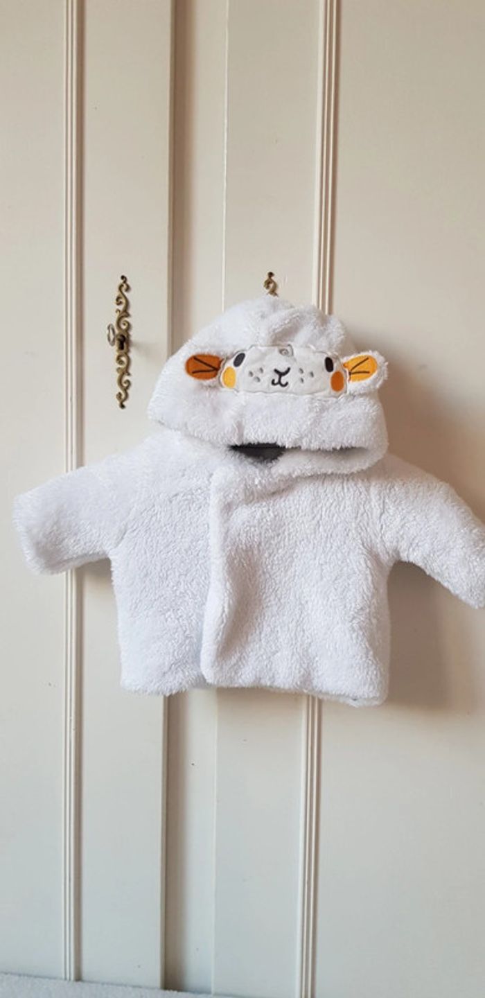 Ensemble DPAM 1 mois - photo numéro 4