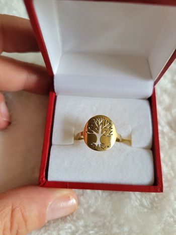 Bague acier inoxydable 🌳 de vie