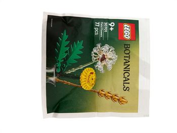 Lego botanicals 9+ ans