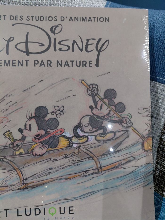 ​🎨 L'Art des Studios d'Animation Walt Disney : Le Mouvement par Nature - Format Grand (Neuf Sous Blister) 🌟 - photo numéro 4
