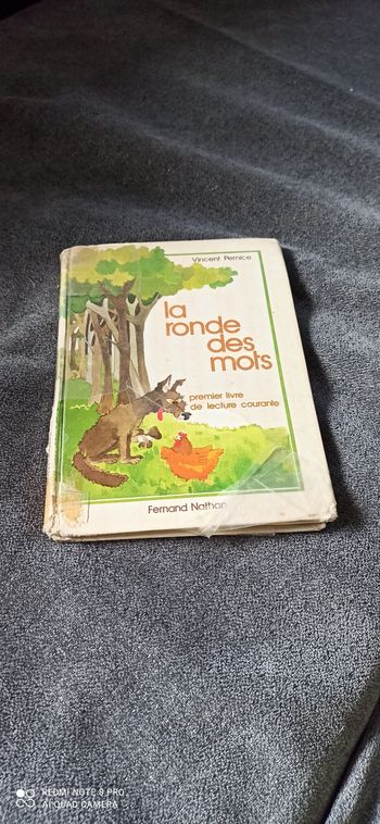 Livre la ronde des mots
