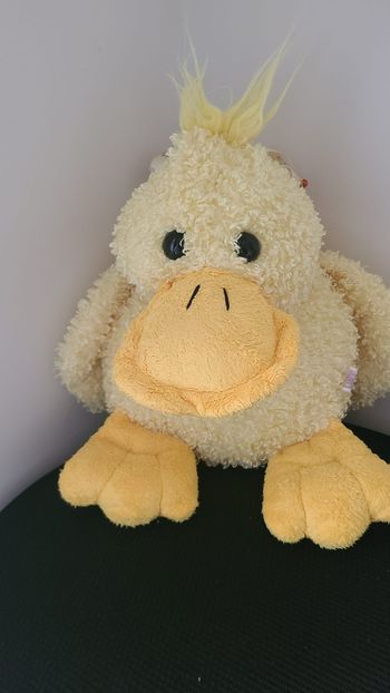doudou canard