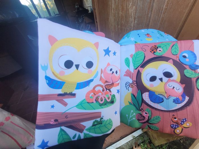 Lot de jouets 1er âge - photo numéro 4