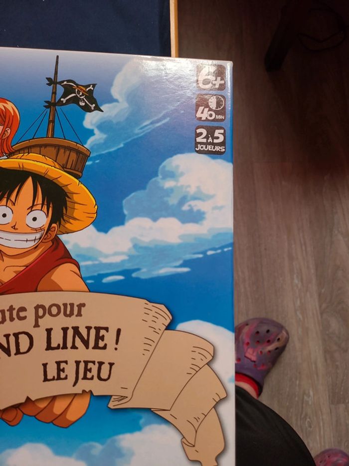 Jeu one pièce - photo numéro 6