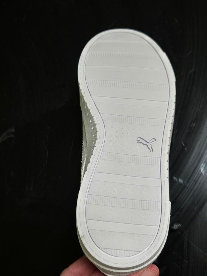 Puma - photo numéro 3