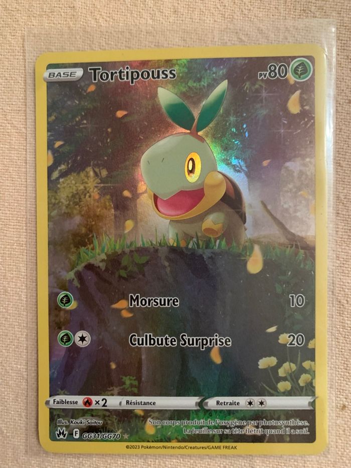 Carte Pokémon