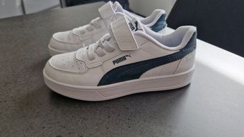 Basket puma