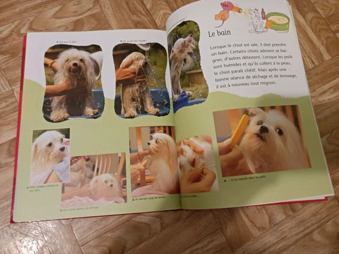 Livre " Je connais les animaux de la maison et du jardin" en bon état - photo numéro 11