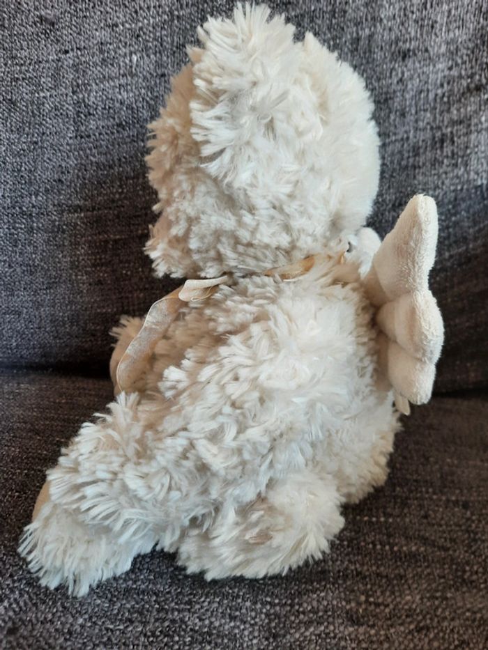 Ange Janusz bukowski - photo numéro 4