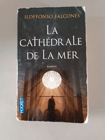 La cathédrale de la mer Ildefonso falcones