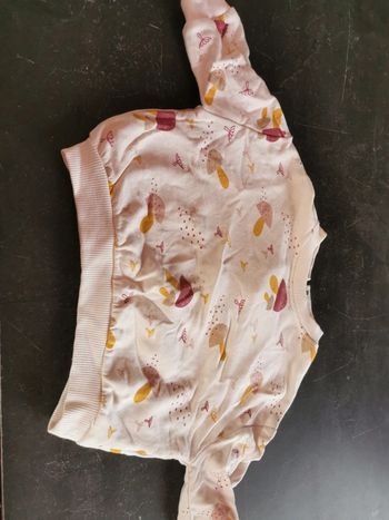 Pull dessins champignons