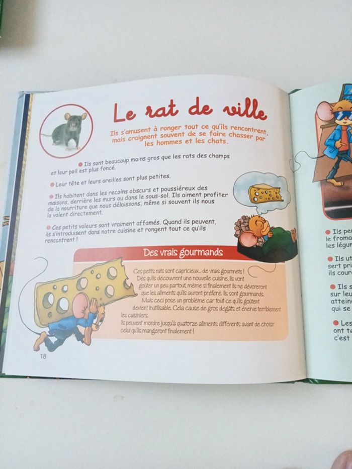 Le rat des villes et le rat des champs - photo numéro 5