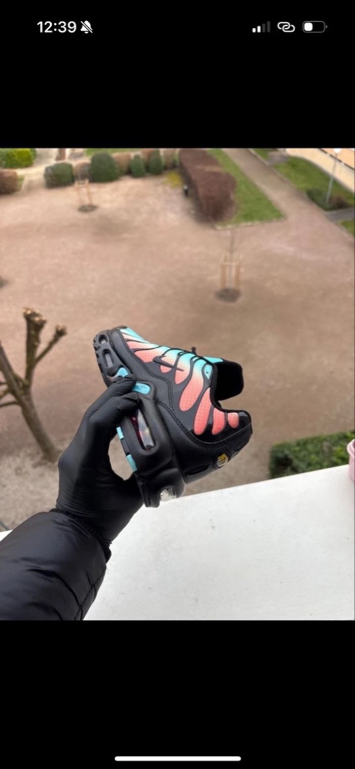 nike tn miami - photo numéro 6