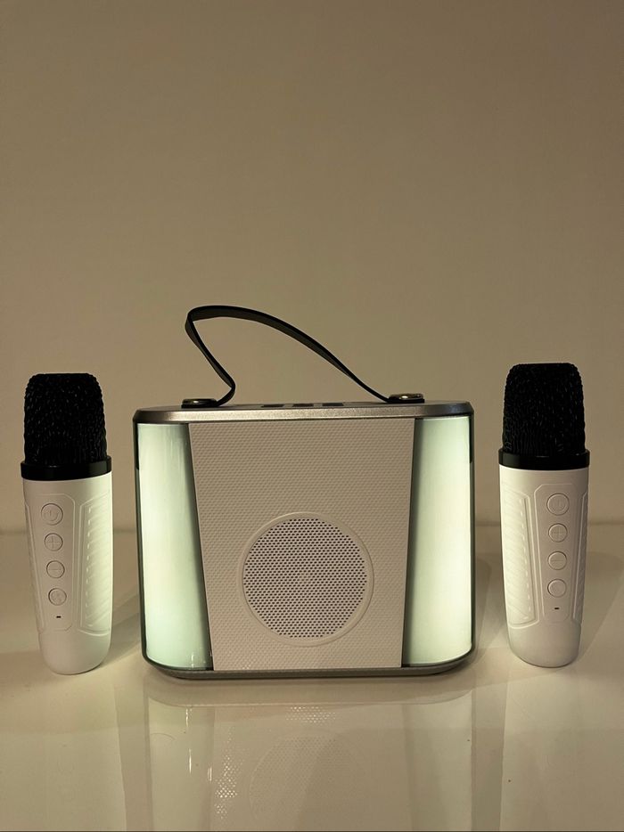 Karaoké avec 2 micros - photo numéro 2