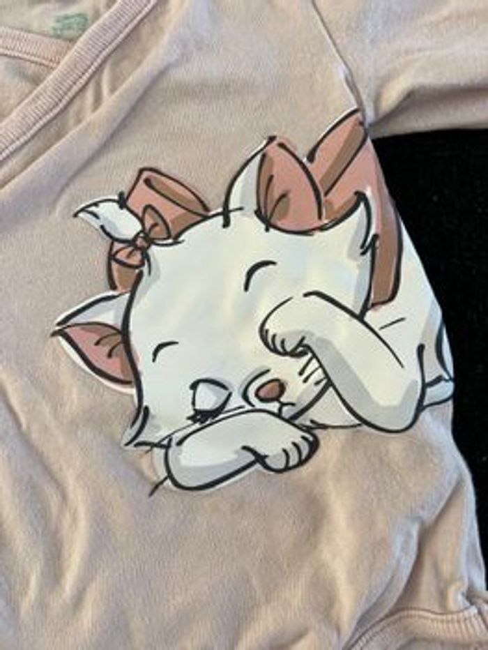 Bodie 3 mois - photo numéro 4