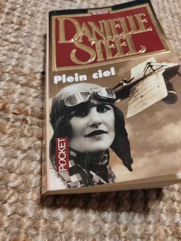 Plein ciel Danielle Steel - photo numéro 12