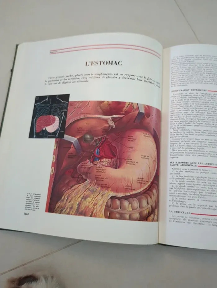 Encyclopédie médecine pour vous tome 5 hachette - photo numéro 4