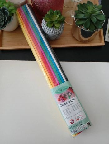 Lot de Papiers Crépon Neuf🌿🌈