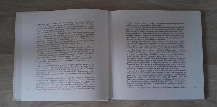 Vannes Morbihan (56) Michel de galzain - photo numéro 5