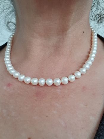 Collier de véritable perles A fermoir en argent