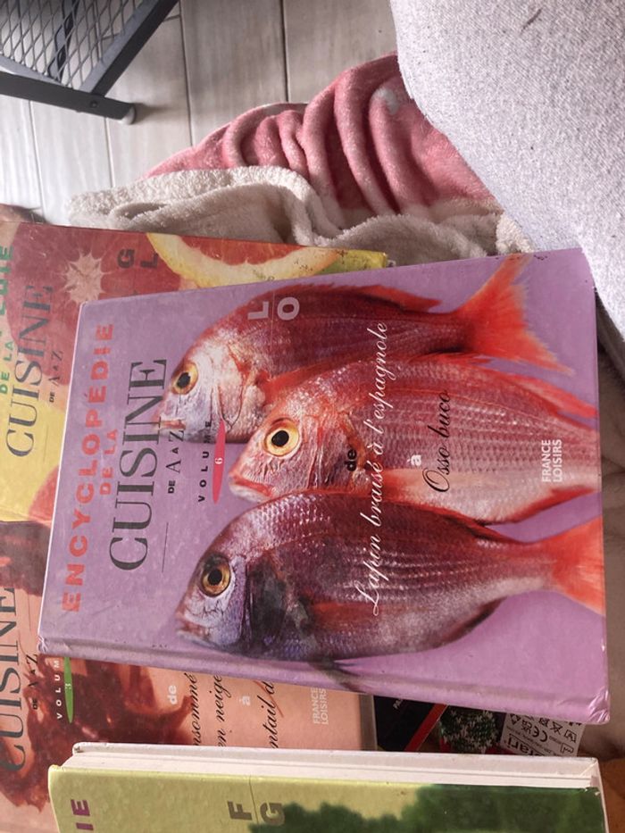Lot de 5 encyclopédies de la cuisine - photo numéro 5