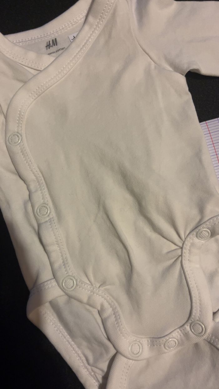 Bodie 0 mois - photo numéro 3