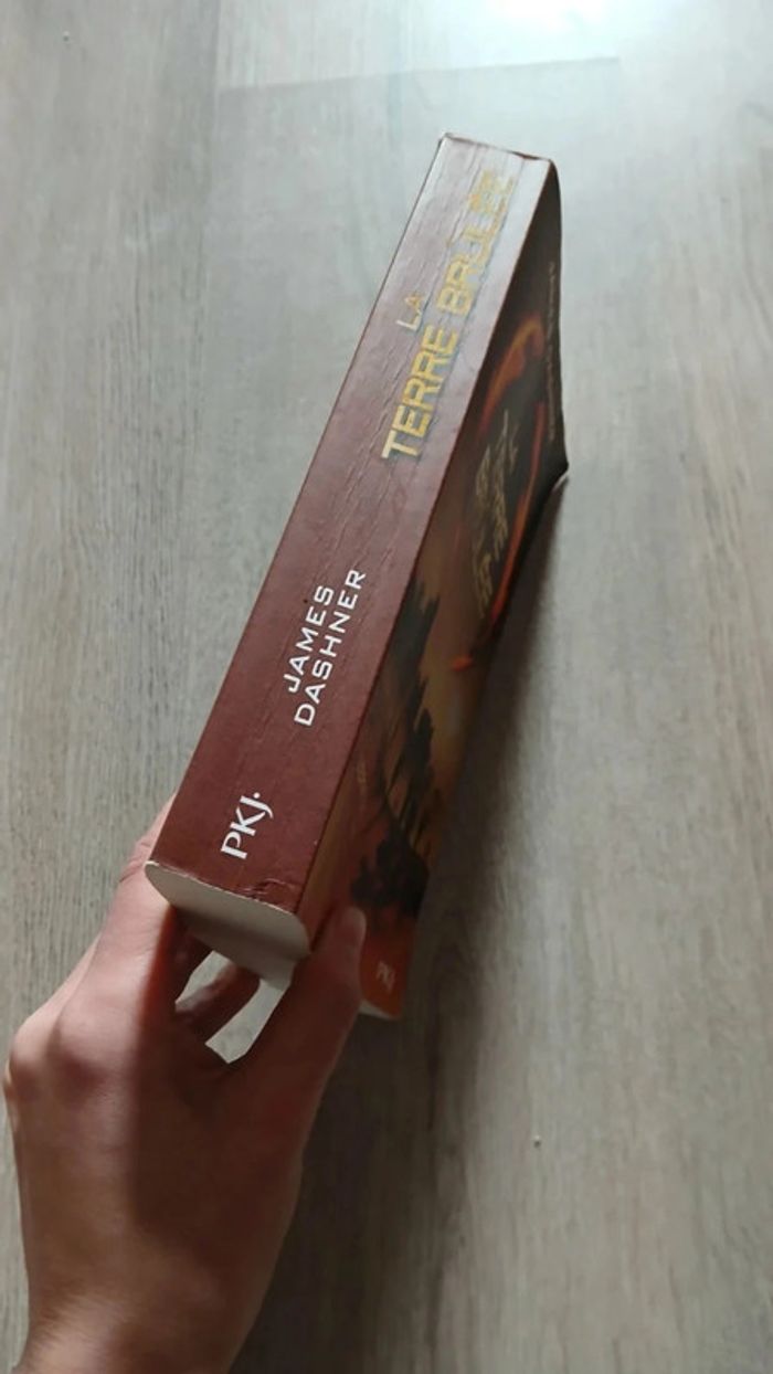 Livre Labyrinthe tome 2 - photo numéro 3