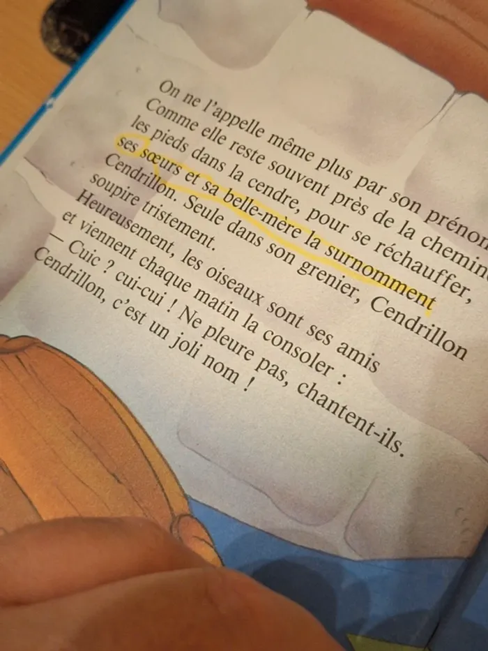 cendrillon - photo numéro 9