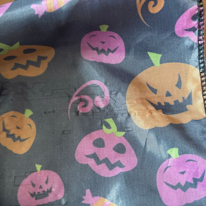 Robe Halloween taille 6 ans - photo numéro 3
