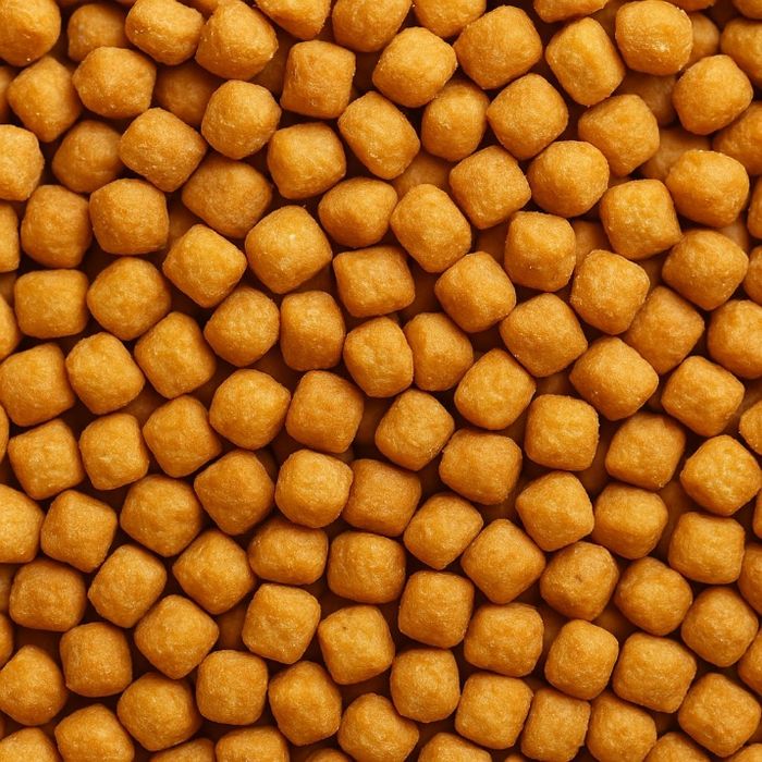 Chin-Chin - photo numéro 3