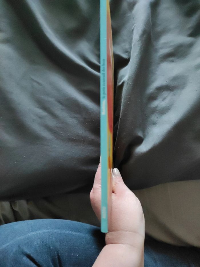 Robin le petit écureuil des bois - photo numéro 3