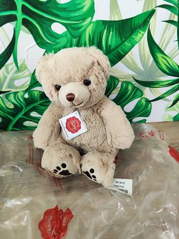 ourson neuf teddy collection 24 cm valeur 20€