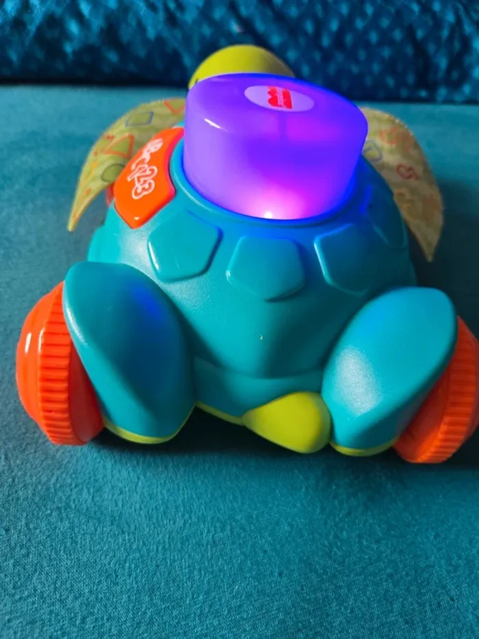 Tortue Linkimals - photo numéro 5