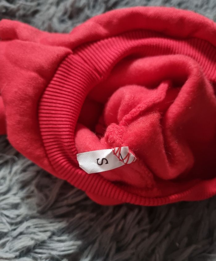 Pull rouge à capuche taille XS chien ou chat - photo numéro 3