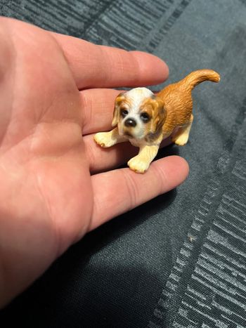 Chiot schleich