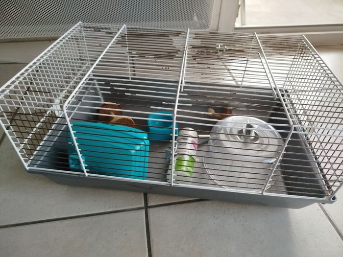 Cage à hamster taille 30x45 cm - photo numéro 13
