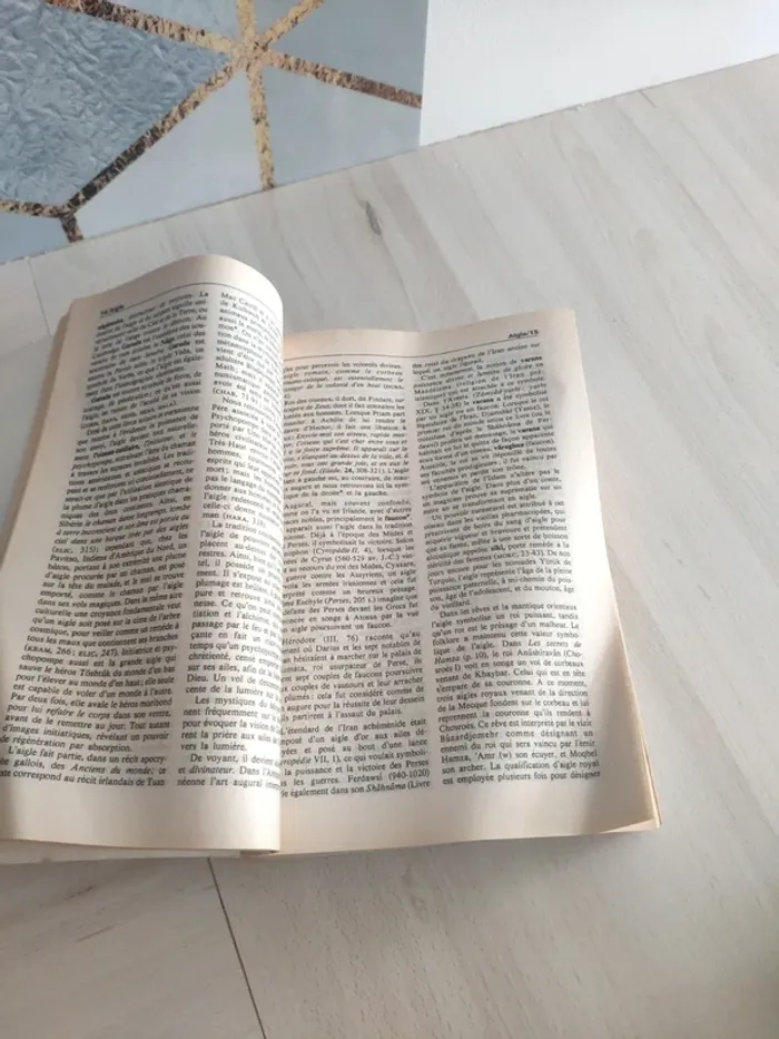 Livre dictionnaire des symboles mythes rêves coutumes gestes formes nombres Bouquins - photo numéro 9
