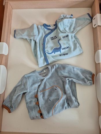Lot 2 pyjama orchestra