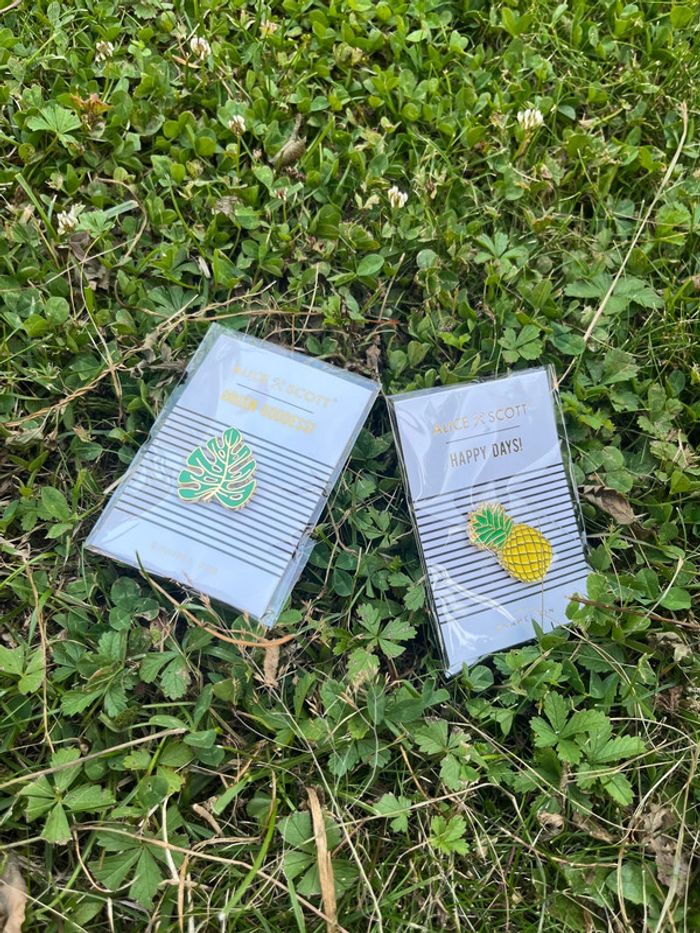 Lot de 2 pin’s Alice&scott neuf