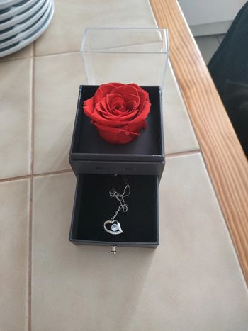 Collier et sa boîte