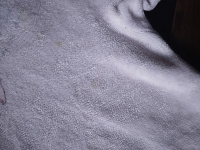 Grenouillere - photo numéro 2