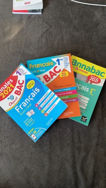 Lot Annales bac de français