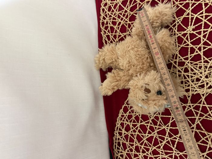 LE PETITE ROMY ours en peluche avec nœud en tête - photo numéro 3