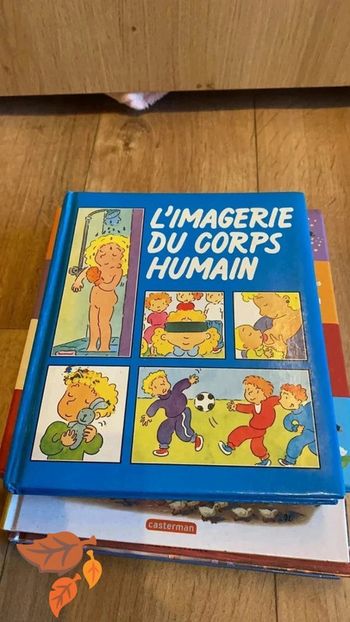 L’imagerie du corps humain