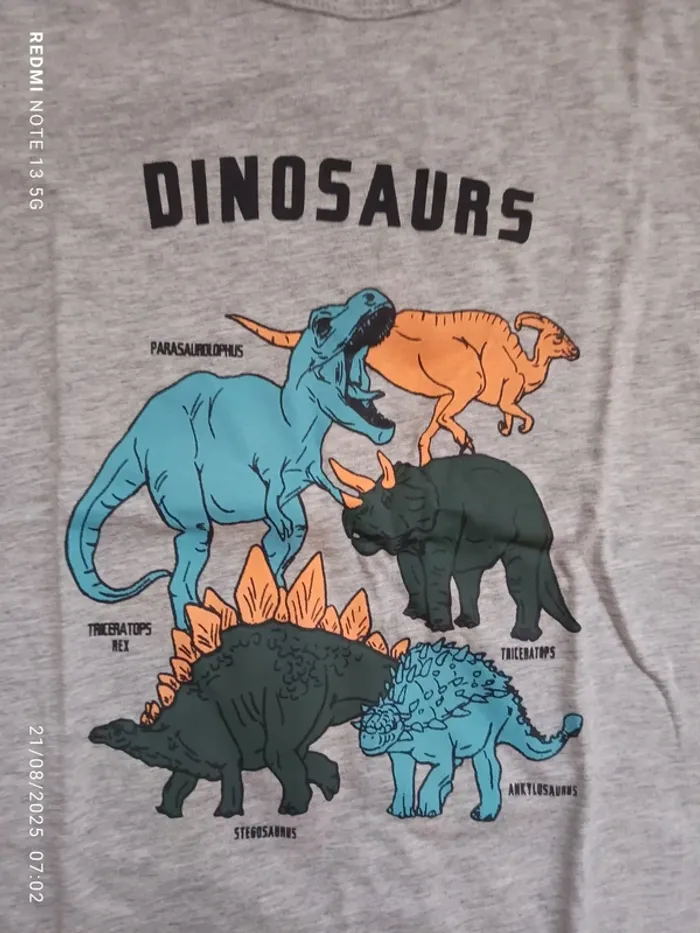 Magnifique tee shirt dinausore taille 10ans - photo numéro 2