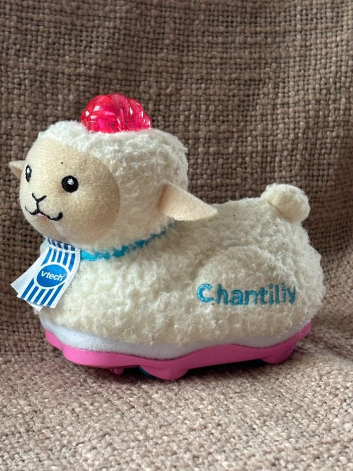 Tut tut animo chantilly le mouton